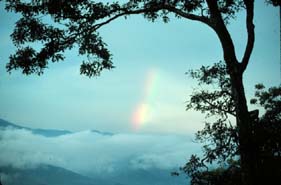 image from NOAA photo lib:  http://www.photolib.noaa.gov/index.html